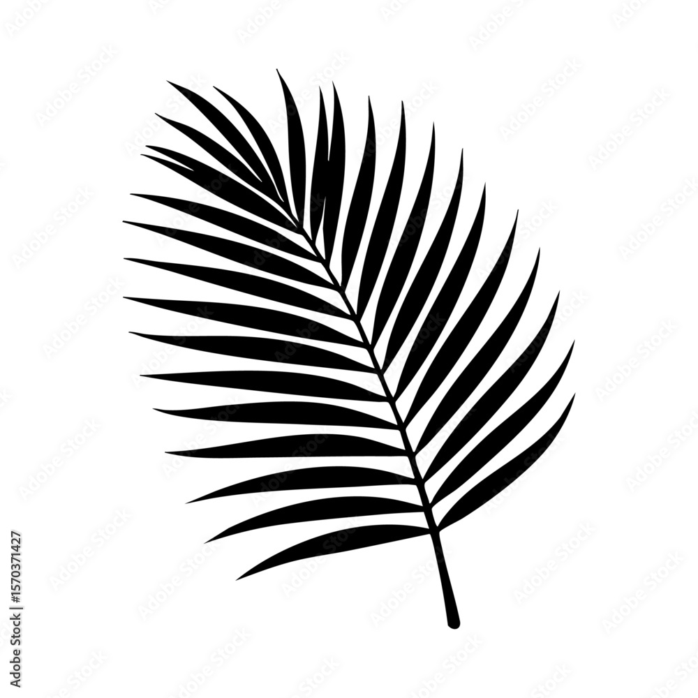 Fototapeta premium Palm leaf silhouette