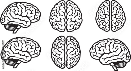 Brain Anatomy Illustrations in Black and White, Featuring Side and Top Views of the Human Brain