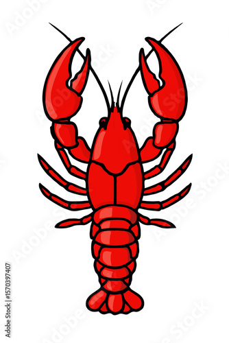 crayfish on white
