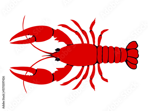 Red Crayfish on white