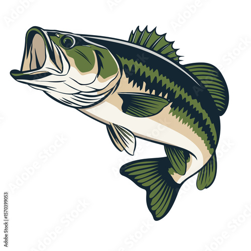 A largemouth bass fish