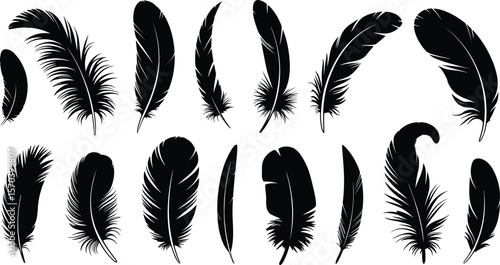 Black silhouette feathers collection, bird plumage vector, natural feather shapes, isolated graphic elements, wildlife design, decorative feather art