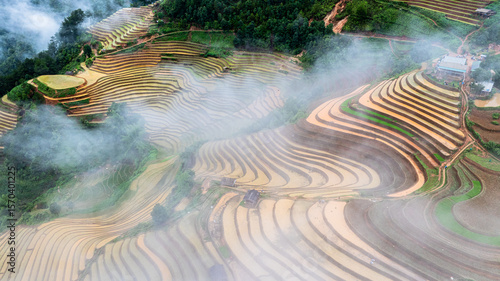 Wallpaper Mural Hmong farmers prepare their fields and plant rice on terraced fields in Mu Cang Chai, Yen Bai. Photo taken in Yen Bai on June 22, 2025. Torontodigital.ca