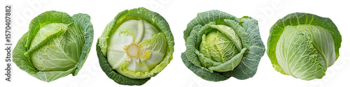 Fresh green cabbage heads showing interior leaf textures isolated on transparent background