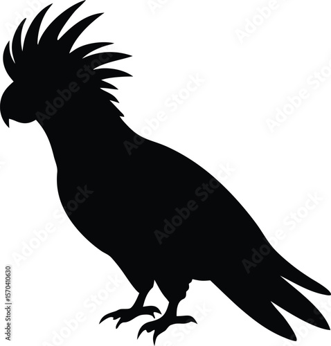 cockatoo silhouette vector tropical bird illustration design