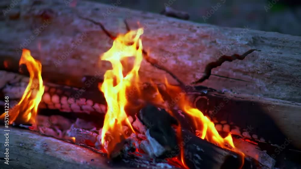 Campfire flames dancing on wood Campfire flames dancing on wood