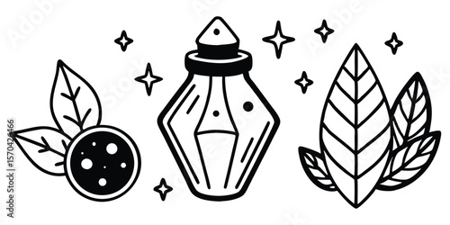 Mystical Potion Jar Doodle Set With Crystals Leave Vector