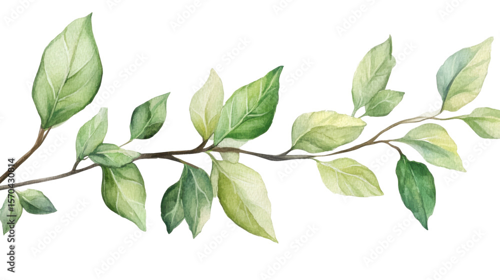Green Leafy Branch Botanical Design Isolated on Clean White Background
Green Leafy Branch Botanical Design Isolated on Clean White Background