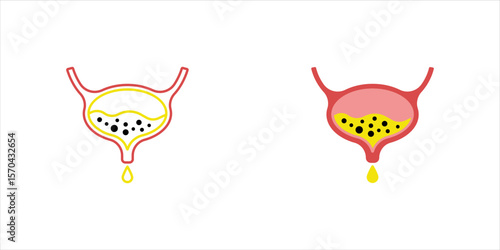 Bladder vector icon and symbol design, vector illstration