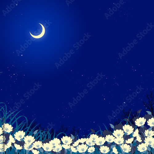 三日月と月見草の花畑の夜の風景イラスト