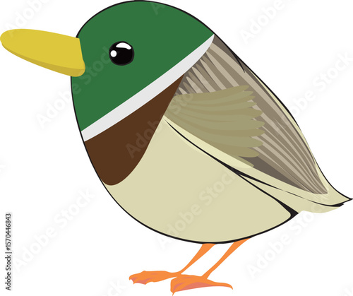 かわいいカモのイラスト