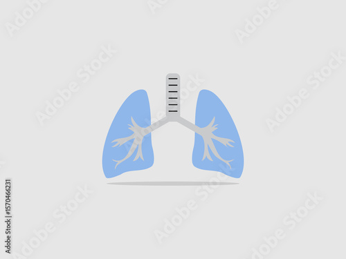 healthy human lungs and trachea