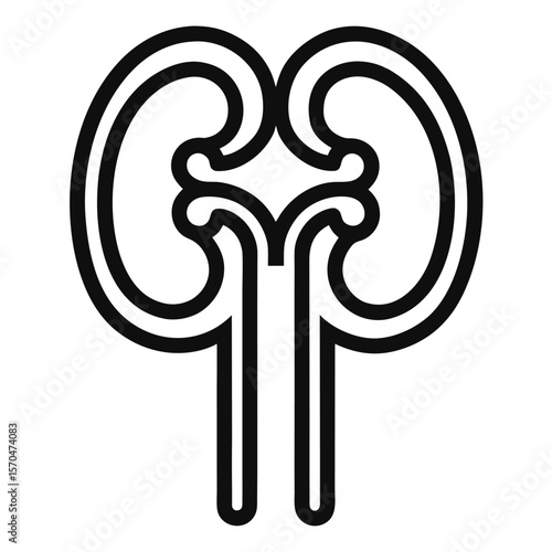 vector illustration of a kidney