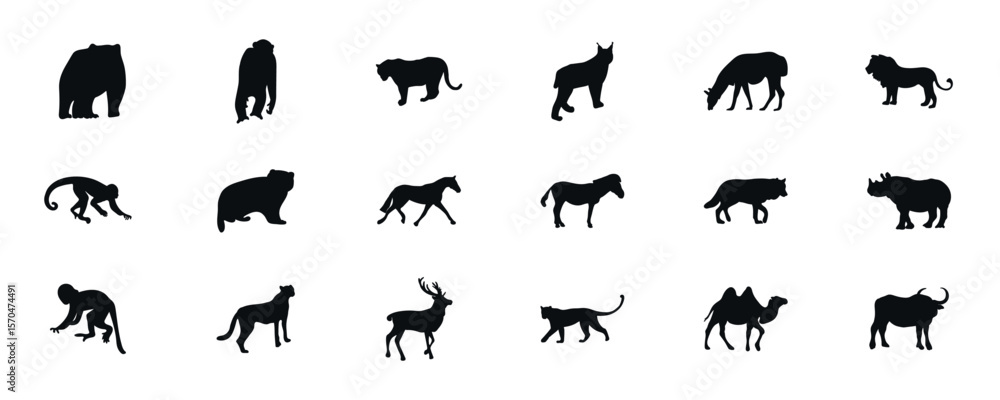 Fototapeta premium Set of animal silhouettes. Zoo. Animal silhouette. It is ideal for decorating zoo, nature, animal themed objects