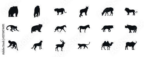 Set of animal silhouettes. Zoo. Animal silhouette. It is ideal for decorating zoo, nature, animal themed objects