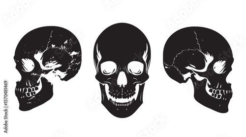 Silhouettes Human and alien skulls , black silhouettes isolated on white background