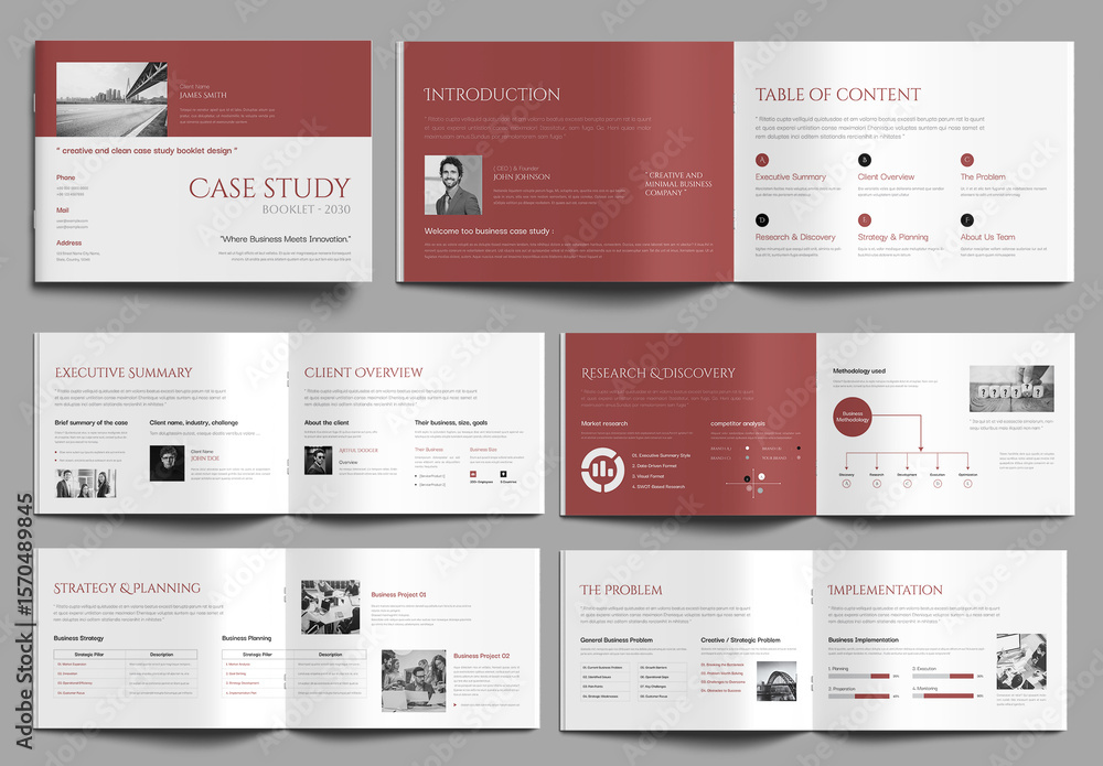 Professional Case Study Template for Business Projects Stock Template ...
