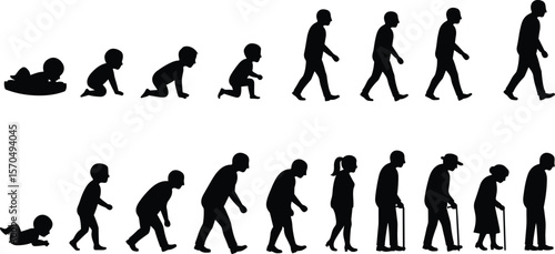 Human life stages from infant to elderly, aging evolution concept, silhouette design, black white growth timeline, educational vector illustration