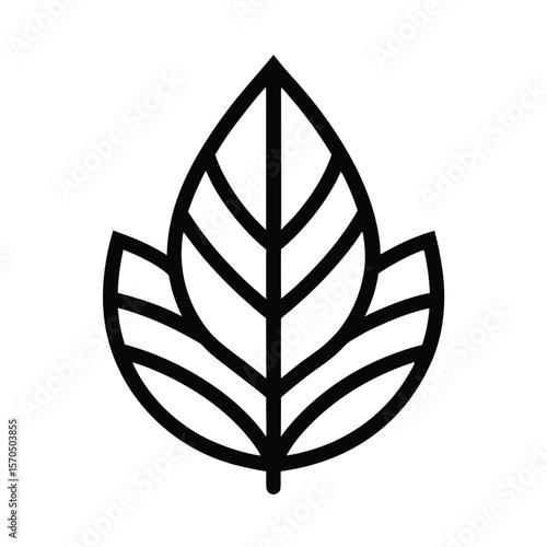 Leaf With Central Vein Vector Illustration