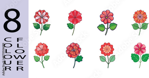 Geranium Flower Flat Illustration Vibrant Container Garden Bloom