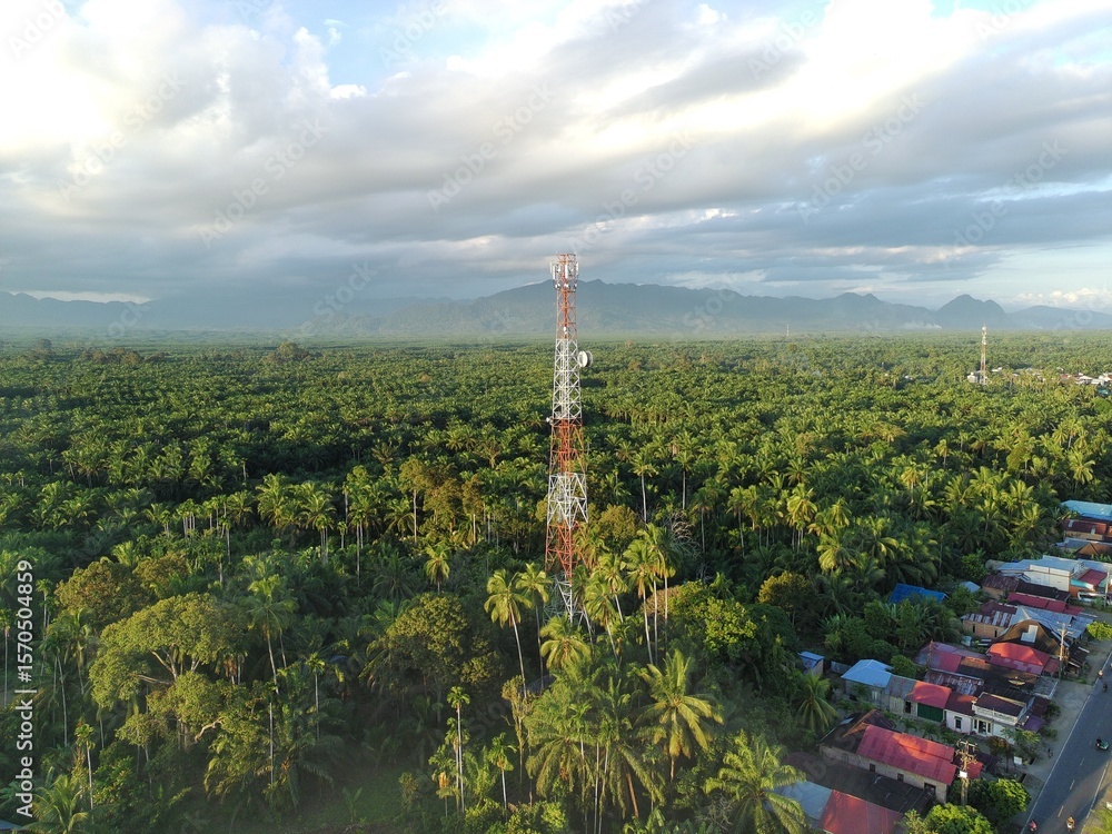 Obraz premium cell phone signal tower
