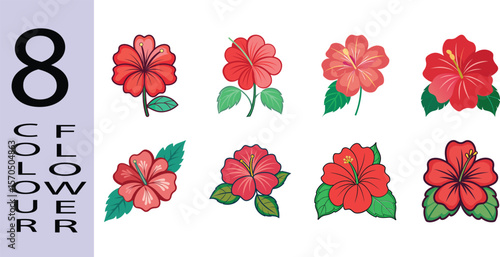 Hibiscus Flower Flat Illustration Tropical Summer Bloom Design
