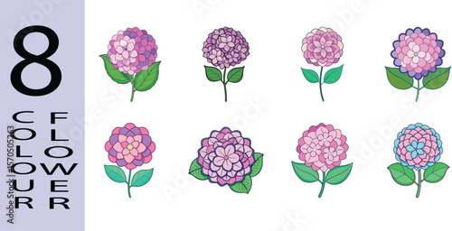 Hydrangea Flower Flat Illustration Lush Summer Cluster Bloom Design"