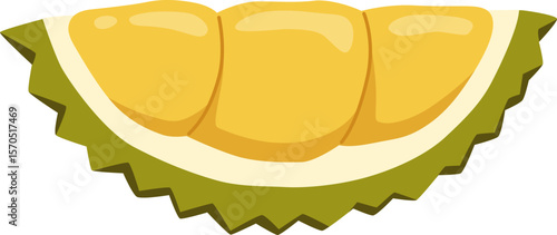 Durian Fruit

