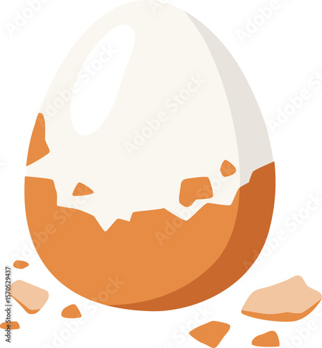Boiled Egg Illustration

