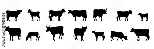 Cool illustration. Black silhouette on white background. Cow.