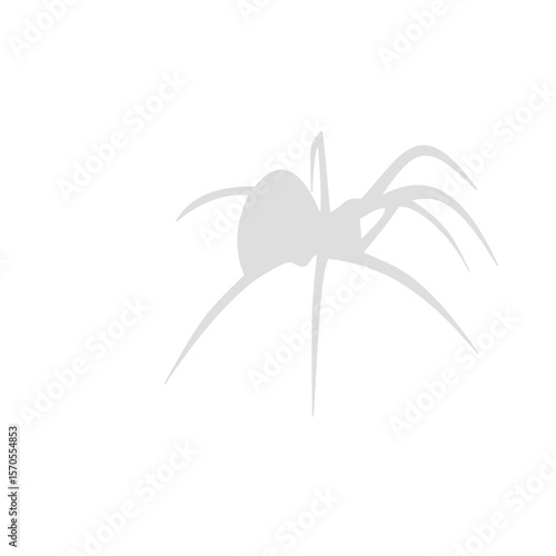 Spider siluet illustration