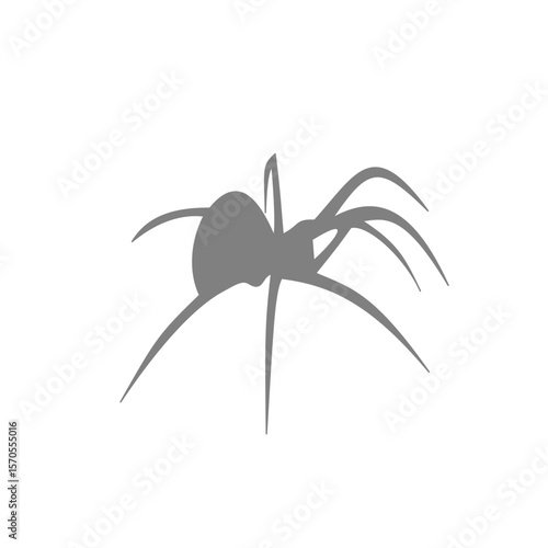 Spider siluet illustration