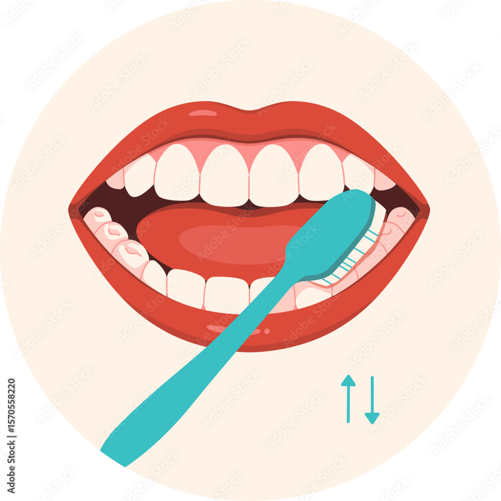 Brushing Teeth Instruction step 5
Brushing Teeth Instruction step 5