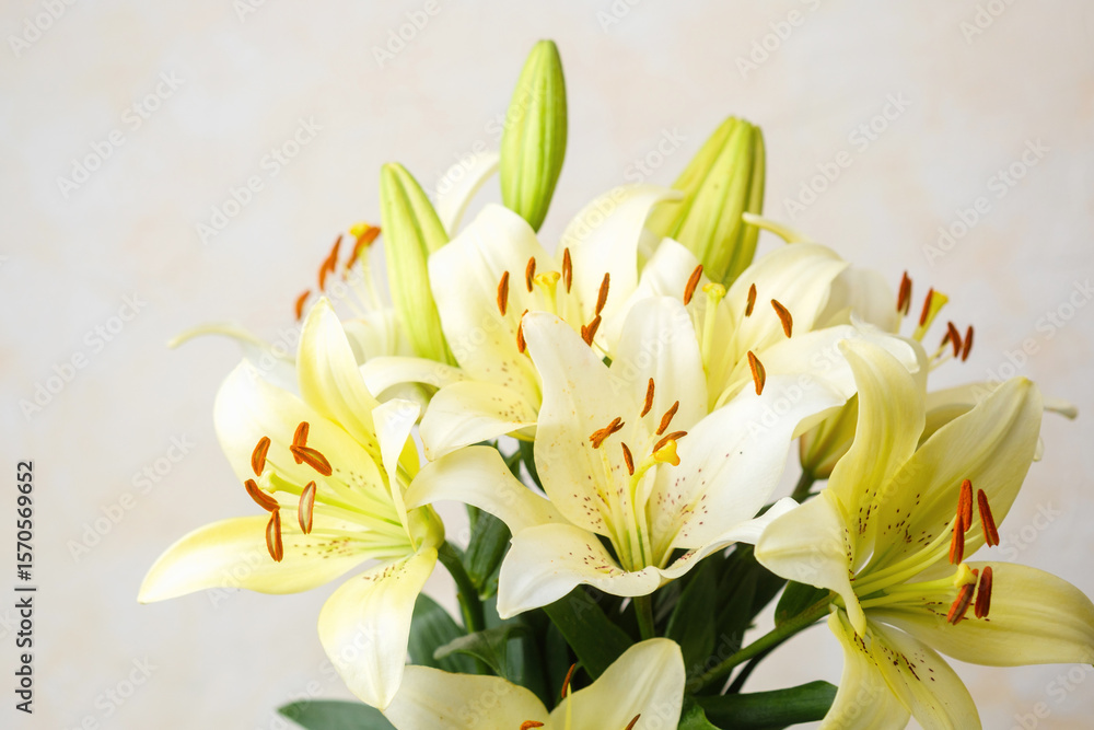 Fototapeta premium Yellow lily bouquet with soft light