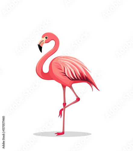 vector pink flamingo on white background