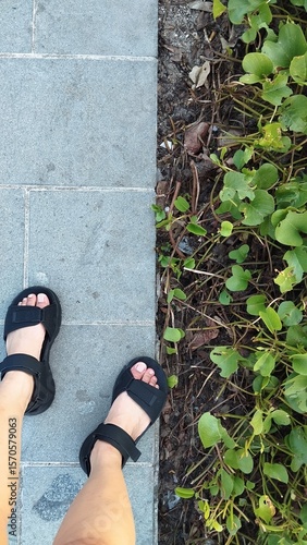 Feet in Sandals on Paved Walkway Next to Lush Green Groundcover