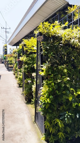 Extensive Vertical Garden Feature as an Urban Green Wall
