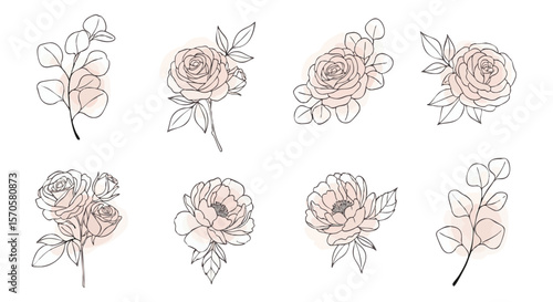 Delicate Hand-Drawn Floral Line Art Collection with Blush Pink Watercolor Roses, Peonies, and Eucalyptus