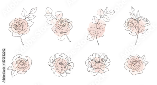 Minimalist Botanical Rose Peony Eucalyptus Line Art Illustrations with Soft Blush Pink Accents
