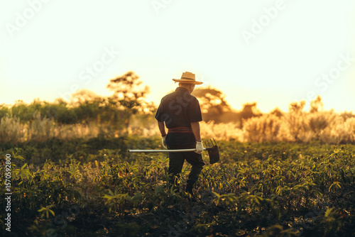 A cassava farmer walks with a hoe in the middle of the field during sunset.