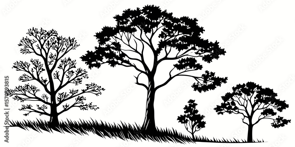 Fototapeta premium A set of simple hand-drawn trees, black tree sketches on a white background, looks like a drawn forest in white background vector illustration.