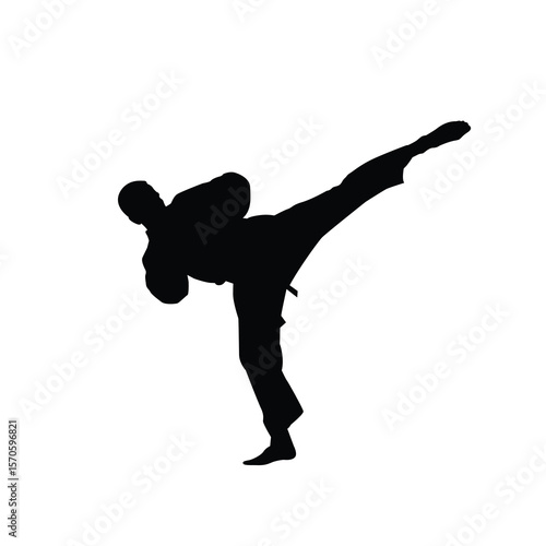 Karate kick