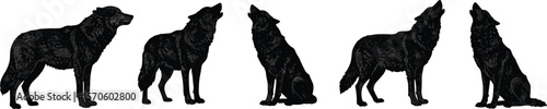 Black wolf silhouettes, howling and standing, detailed vector art, perfect for designs, illustrations, and projects, dark and mysterious animal theme.