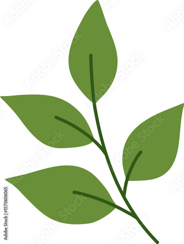 Green Matcha Leafs

