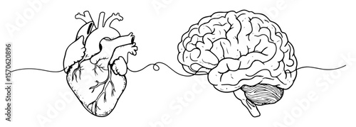 heart and brain connection balance concept vector sketch illustration