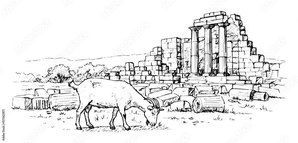 Fototapeta premium goat grazing in ancient greek ruins sketch landscape illustration
