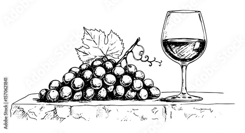 glass of red wine and grapes still life sketch illustration