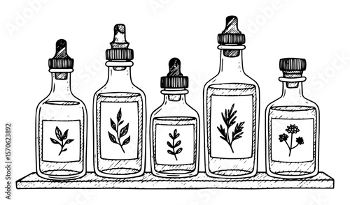 herbal tincture bottles with plant labels line art