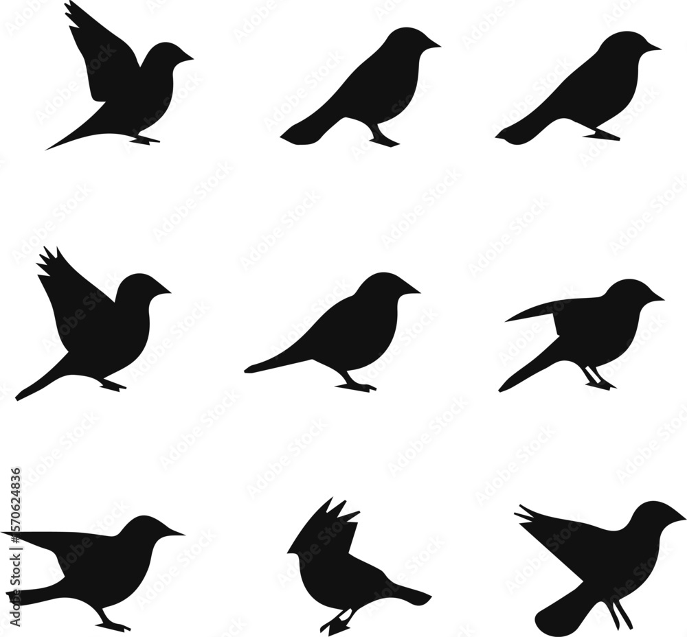 Fototapeta premium Black bird silhouette icon set.