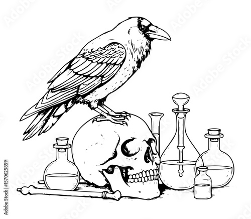 raven on skull with alchemy potions gothic sketch